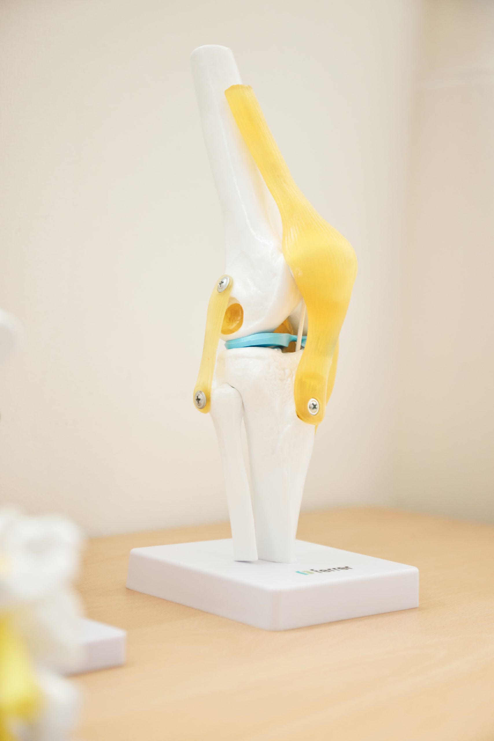 Medicina Regenerativa